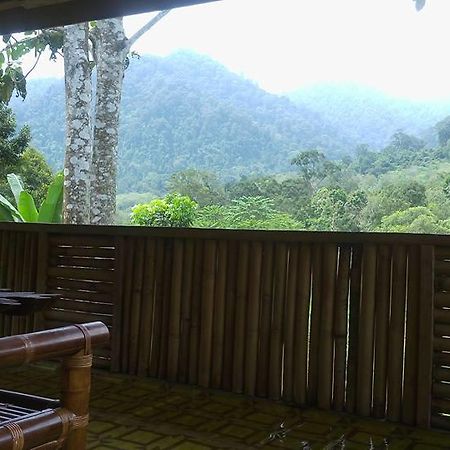 Batu Kapal Jungle Houses Hotel Берастаги Екстериор снимка