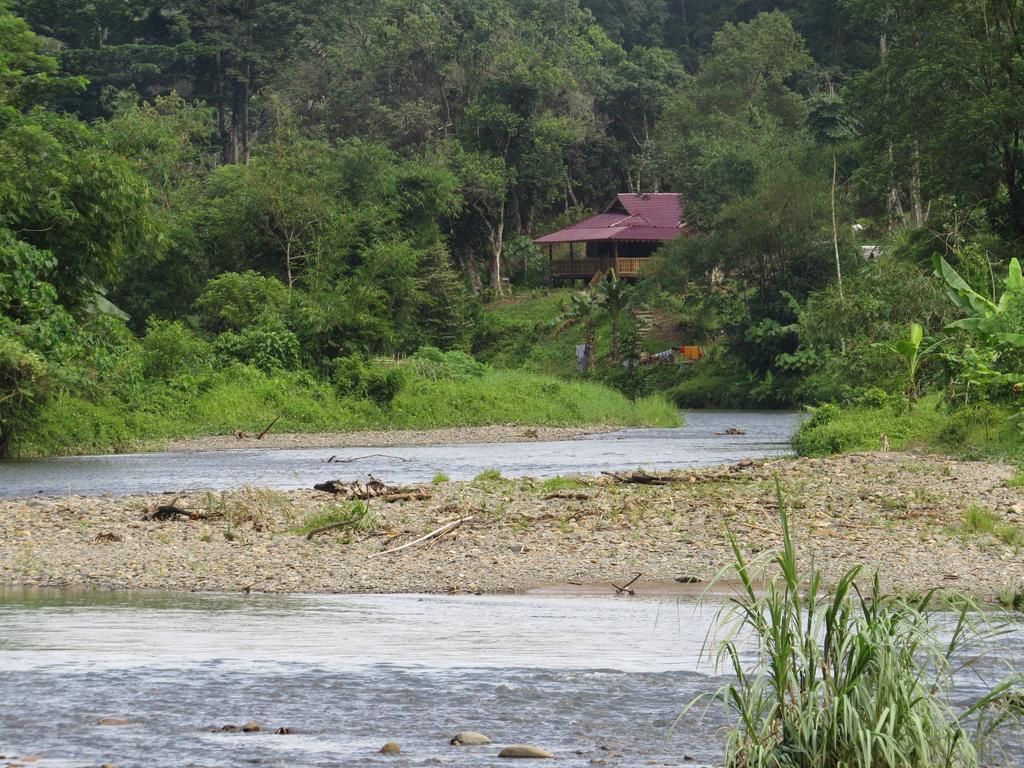 Batu Kapal Jungle Houses Hotel Берастаги Стая снимка