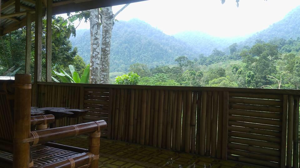 Batu Kapal Jungle Houses Hotel Берастаги Екстериор снимка