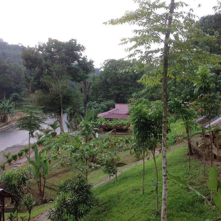 Batu Kapal Jungle Houses Hotel Берастаги Екстериор снимка