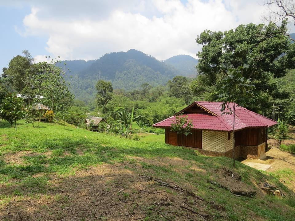 Batu Kapal Jungle Houses Hotel Берастаги Екстериор снимка